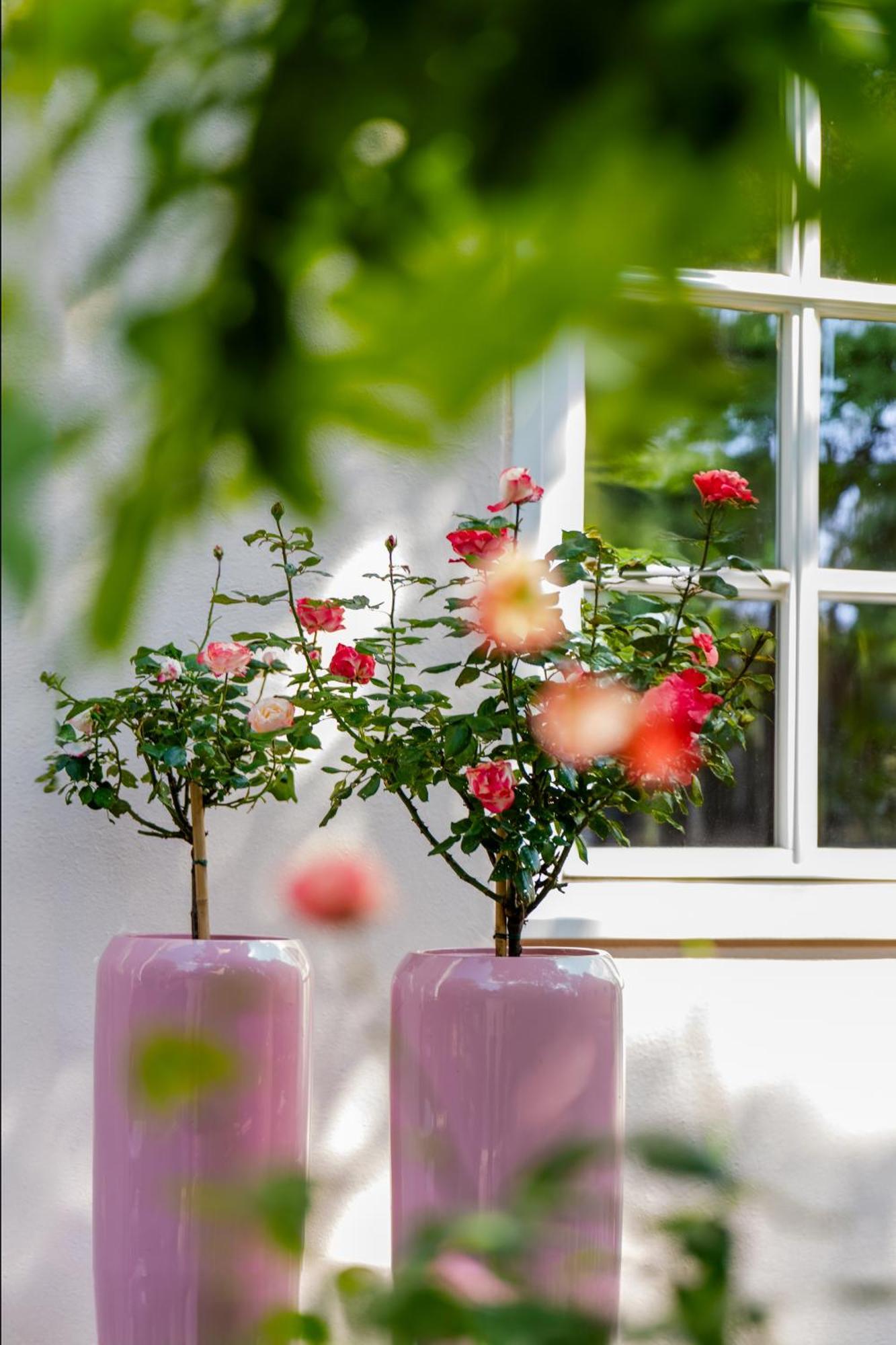 Schlosshotel Wilhelmsthal Calden ภายนอก รูปภาพ